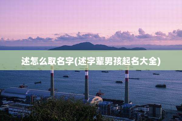 述怎么取名字(述字辈男孩起名大全)