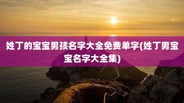 姓丁的宝宝男孩名字大全免费单字(姓丁男宝宝名字大全集)