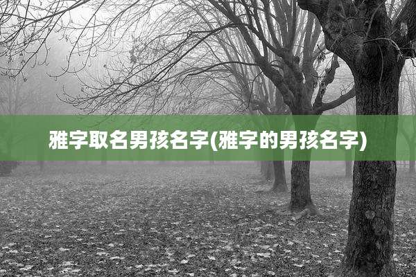 雅字取名男孩名字(雅字的男孩名字)