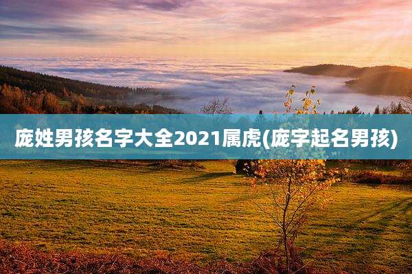 庞姓男孩名字大全2021属虎(庞字起名男孩)