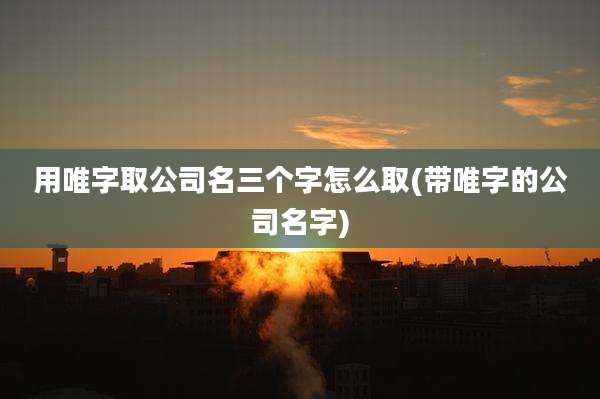 用唯字取公司名三个字怎么取(带唯字的公司名字)