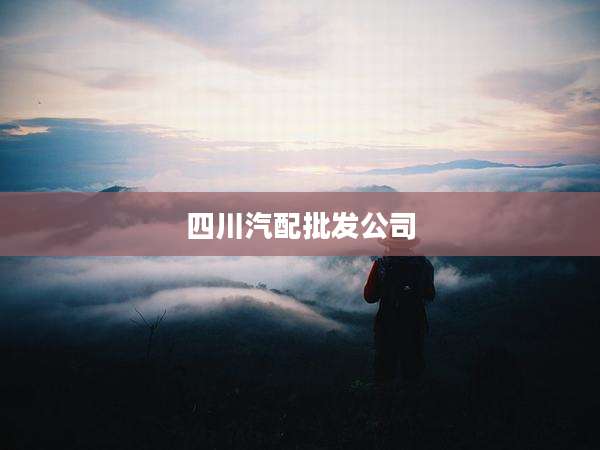 四川汽配批发公司