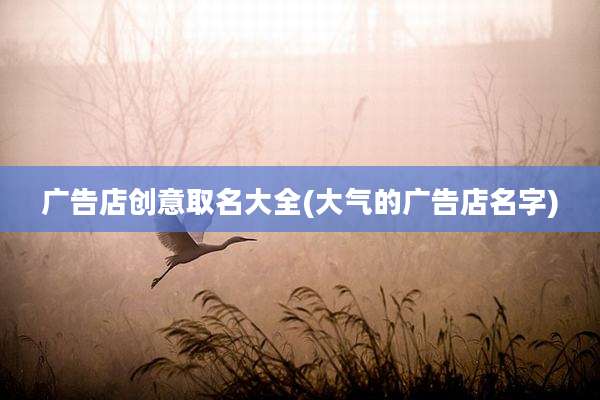 广告店创意取名大全(大气的广告店名字)