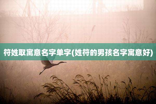 符姓取寓意名字单字(姓符的男孩名字寓意好)