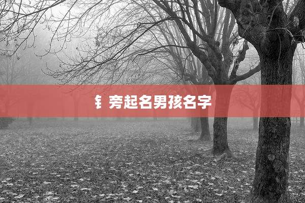 钅旁起名男孩名字