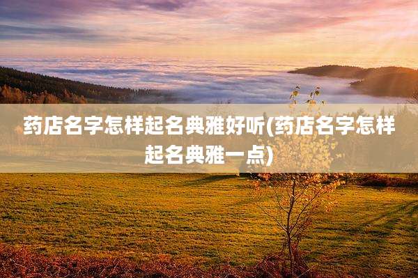 药店名字怎样起名典雅好听(药店名字怎样起名典雅一点)