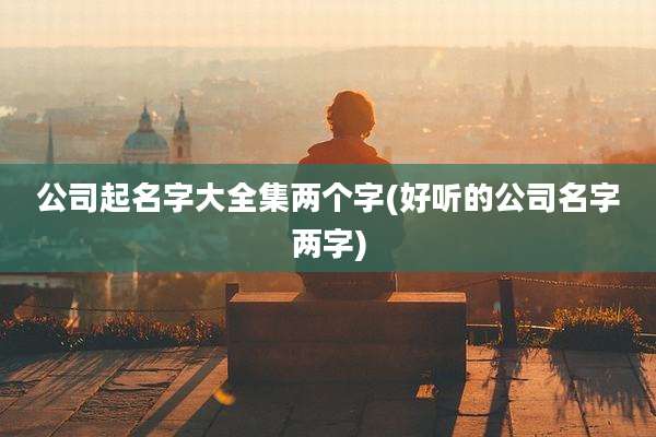 公司起名字大全集两个字(好听的公司名字两字)