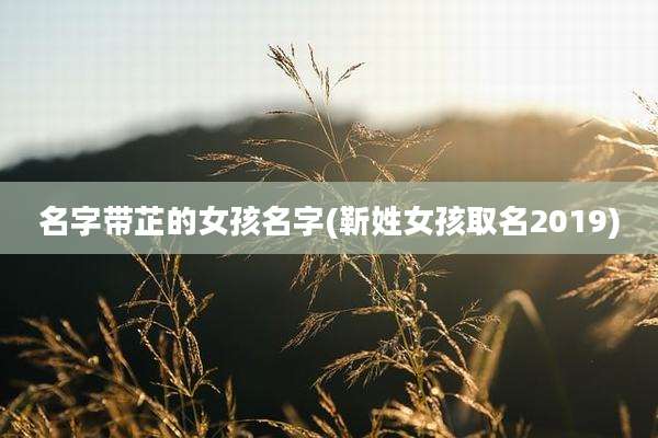 名字带芷的女孩名字(靳姓女孩取名2019)
