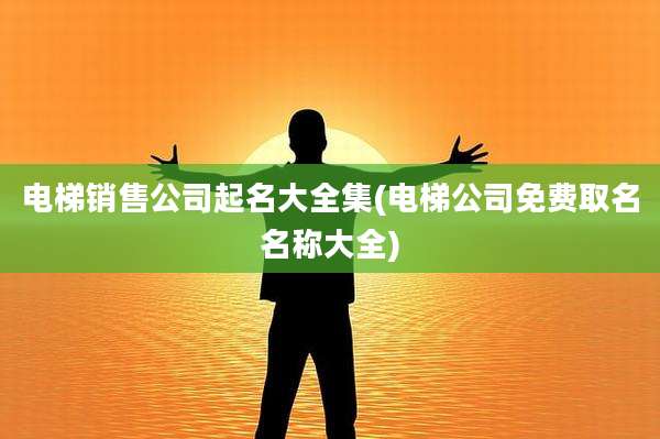 电梯销售公司起名大全集(电梯公司免费取名名称大全)