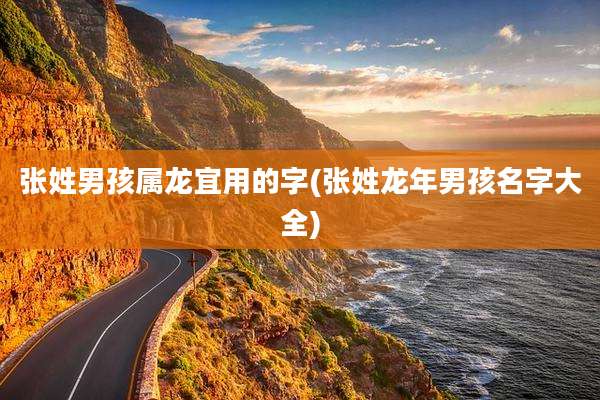 张姓男孩属龙宜用的字(张姓龙年男孩名字大全)