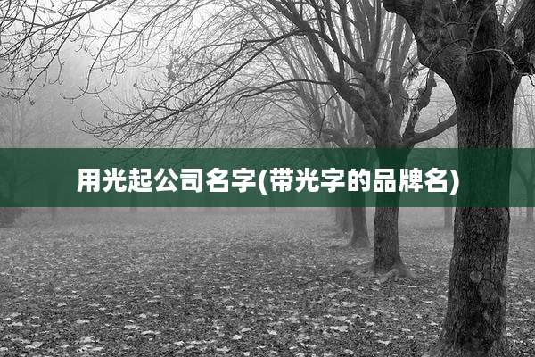 用光起公司名字(带光字的品牌名)