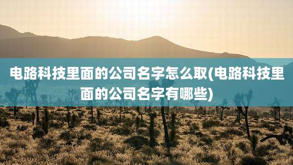 电路科技里面的公司名字怎么取(电路科技里面的公司名字有哪些)