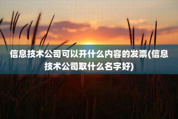 信息技术公司可以开什么内容的发票(信息技术公司取什么名字好)