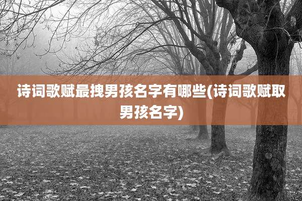 诗词歌赋最拽男孩名字有哪些(诗词歌赋取男孩名字)