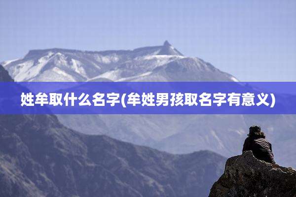 姓牟取什么名字(牟姓男孩取名字有意义)