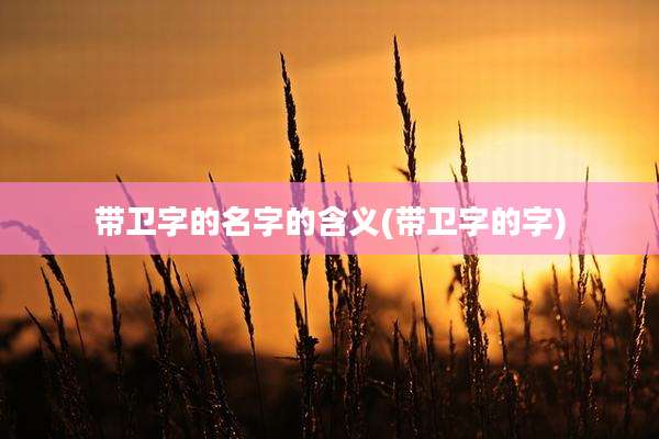 带卫字的名字的含义(带卫字的字)