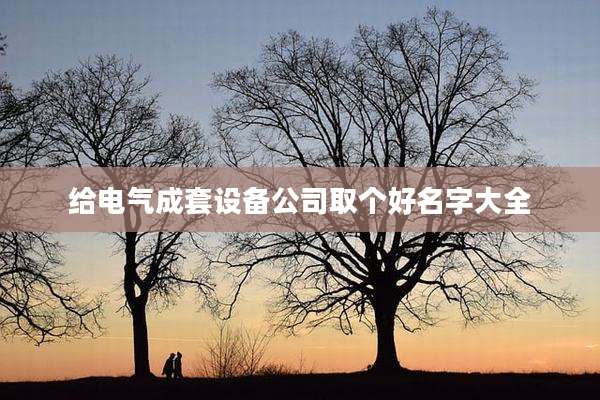给电气成套设备公司取个好名字大全
