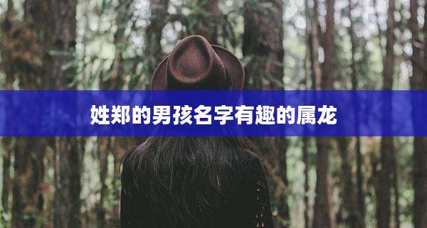 姓郑的男孩名字有趣的属龙
