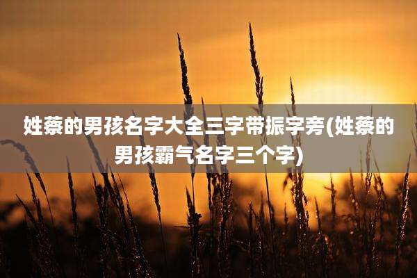 姓蔡的男孩名字大全三字带振字旁(姓蔡的男孩霸气名字三个字)