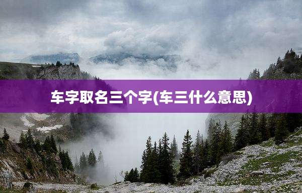 车字取名三个字(车三什么意思)