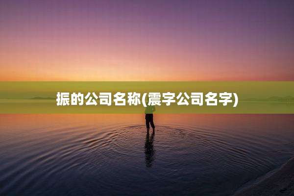 振的公司名称(震字公司名字)
