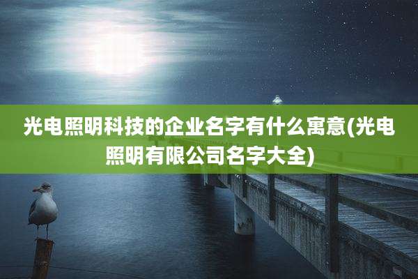 光电照明科技的企业名字有什么寓意(光电照明有限公司名字大全)
