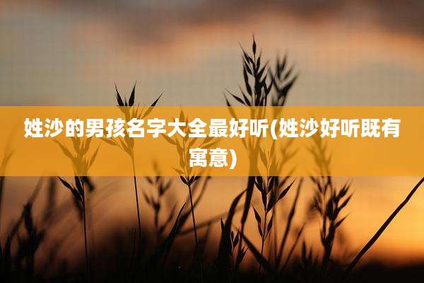 姓沙的男孩名字大全最好听(姓沙好听既有寓意)