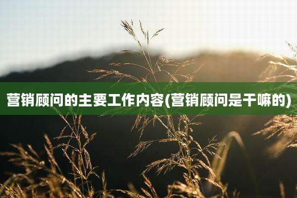 营销顾问的主要工作内容(营销顾问是干嘛的)