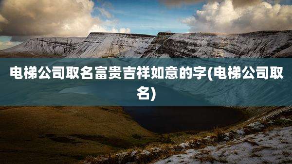 电梯公司取名富贵吉祥如意的字(电梯公司取名)