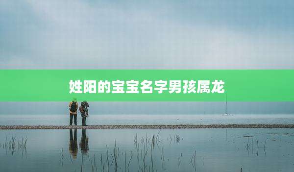 姓阳的宝宝名字男孩属龙