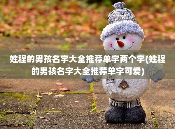 姓程的男孩名字大全推荐单字两个字(姓程的男孩名字大全推荐单字可爱)