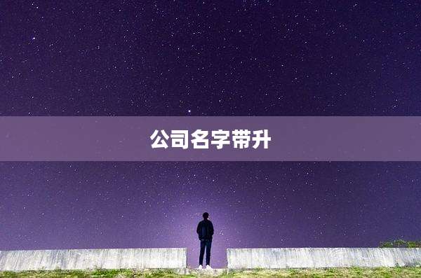 公司名字带升