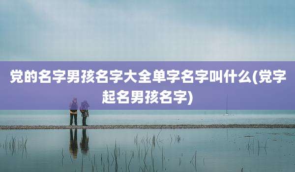 党的名字男孩名字大全单字名字叫什么(党字起名男孩名字)