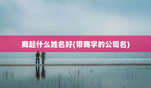商起什么姓名好(带商字的公司名)