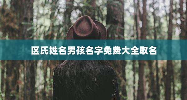 区氏姓名男孩名字免费大全取名