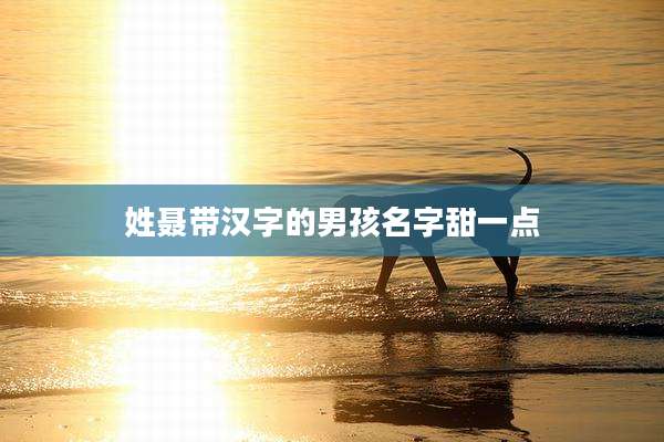 姓聂带汉字的男孩名字甜一点