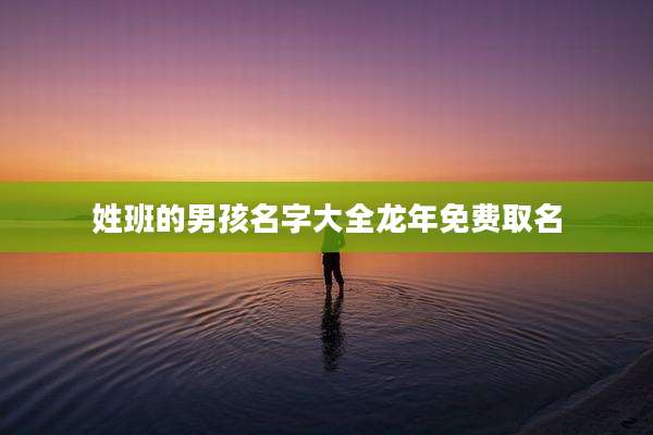 姓班的男孩名字大全龙年免费取名
