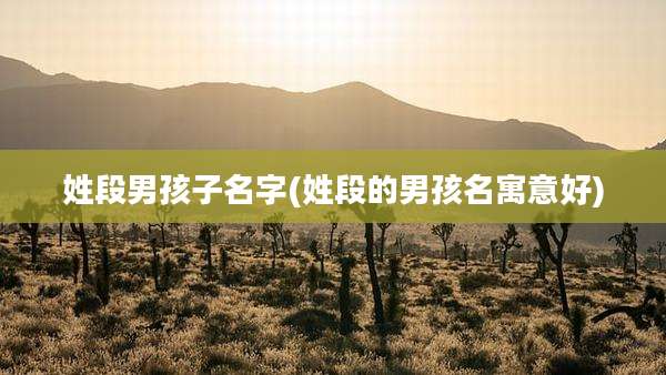 姓段男孩子名字(姓段的男孩名寓意好)