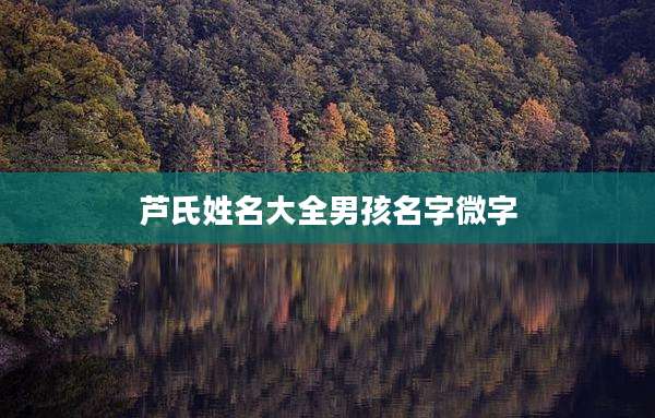 芦氏姓名大全男孩名字微字