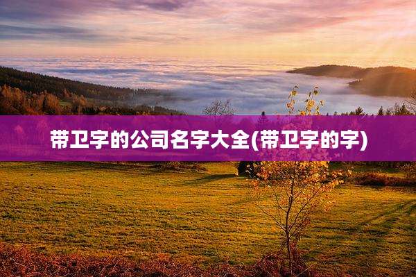 带卫字的公司名字大全(带卫字的字)