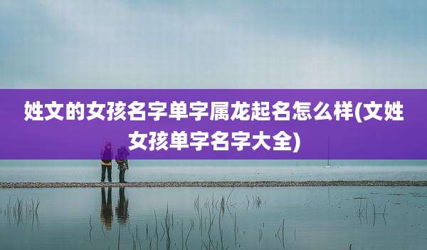 姓文的女孩名字单字属龙起名怎么样(文姓女孩单字名字大全)