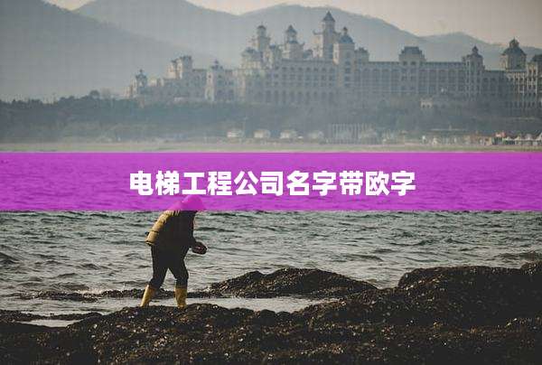 电梯工程公司名字带欧字