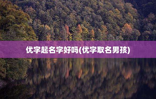 优字起名字好吗(优字取名男孩)
