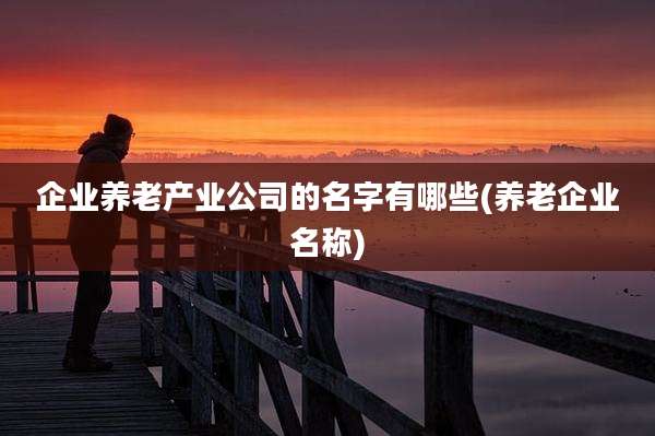企业养老产业公司的名字有哪些(养老企业名称)