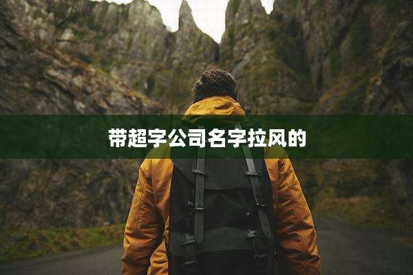 带超字公司名字拉风的