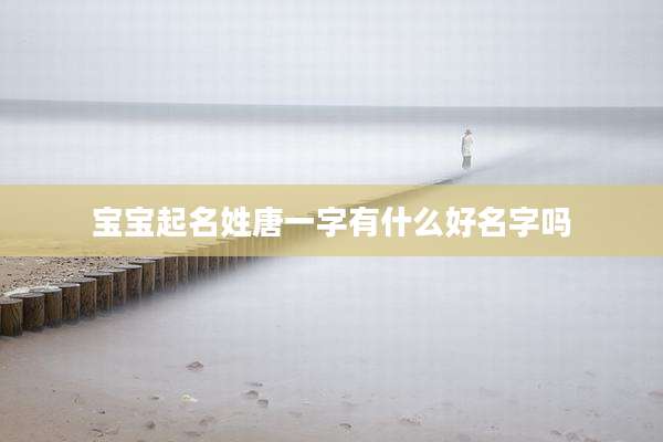 宝宝起名姓唐一字有什么好名字吗
