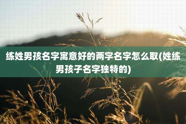 练姓男孩名字寓意好的两字名字怎么取(姓练男孩子名字独特的)