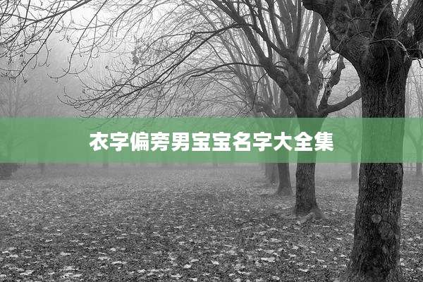 衣字偏旁男宝宝名字大全集