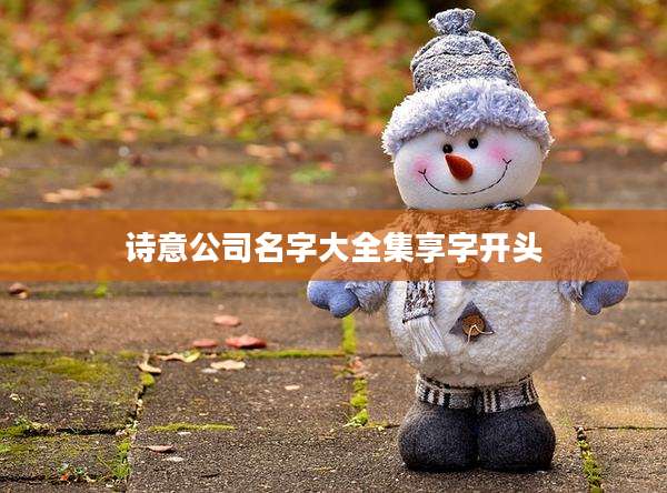 诗意公司名字大全集享字开头