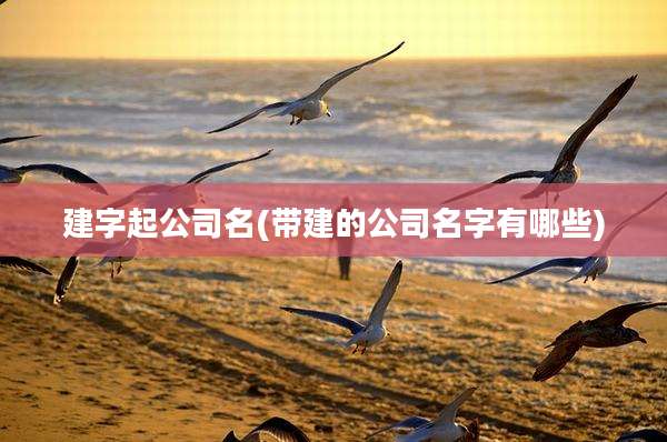 建字起公司名(带建的公司名字有哪些)